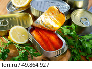 Mackerel fillets in tomato sauce. Стоковое фото, фотограф Яков Филимонов / Фотобанк Лори