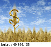 Money crop and cash farming industry concept representing the finances and profits earned in the business for farmers and the agricultural sector of the food market as a single wheat plant in the shape of a dollarsign on a harvest time farm field with sky. Стоковое фото, агентство Ingram Publishing / Фотобанк Лори