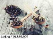 Nutmeg, clove and allspice in old spoon on wooden background. Photo with cross processing filter. Стоковое фото, агентство Ingram Publishing / Фотобанк Лори