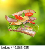 Sandwich with falling ingredients in the air against natural green background - slices of fresh tomatoes, ham, cheese and lettuce. Стоковое фото, агентство Ingram Publishing / Фотобанк Лори