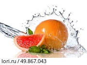Water splash on grapefruit with mint isolated on white. Стоковое фото, агентство Ingram Publishing / Фотобанк Лори