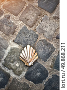 Santiago shell (Pilgrims shell), St James shell in Brussels, Belgium. Стоковое фото, агентство Ingram Publishing / Фотобанк Лори