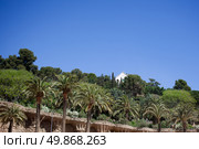 Green trees of Park Guell in Barcelona, Spain. Стоковое фото, агентство Ingram Publishing / Фотобанк Лори