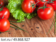 red tomatoes with green salad on wood. Стоковое фото, агентство Ingram Publishing / Фотобанк Лори