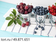 Plums, red currants and blueberries in small metal bucket on the wooden table. Стоковое фото, агентство Ingram Publishing / Фотобанк Лори