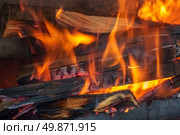 beautiful language of the burning flame bonfire. background. Стоковое фото, агентство Ingram Publishing / Фотобанк Лори