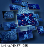 Brain neurons concepts as human brain medical symbol represented by geometric windows close up of neurons and organ cell activity showing intelligence related to memory. Стоковое фото, агентство Ingram Publishing / Фотобанк Лори