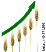 Farming industry and agriculture business profits symbol with rising and growing wheat chart and green arrow pointing upward isolated on a white background as an icon of food prices growth. Стоковое фото, агентство Ingram Publishing / Фотобанк Лори