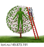 Prevent disease and preventive medicine health care medical concept with a doctor or surgeon working on a human body in the shape of a gree tree with leaves and branches on a white background. Стоковое фото, агентство Ingram Publishing / Фотобанк Лори