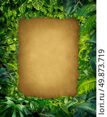 Wild jungle border frame with rich tropical green plants as ferns and palm tree leaves found in southern hot climates as south America Hawaii and Asia with framed parchment copy space center. Стоковое фото, агентство Ingram Publishing / Фотобанк Лори