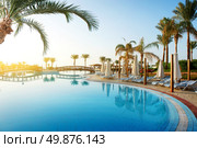 Swimming pool and big green palms at sunrise. Стоковое фото, агентство Ingram Publishing / Фотобанк Лори