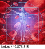 Health care research medical concept with a Vitruvian human skeleton man and body with a group of floating red blood cells circulating in a vein. Стоковое фото, агентство Ingram Publishing / Фотобанк Лори