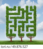 Growing challenges as a business concept of future complicated financial risks ahead with a group of trees shaped as a maze or labyrinth on a summer sky. Стоковое фото, агентство Ingram Publishing / Фотобанк Лори