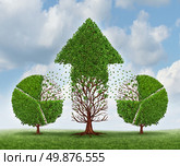 Investing for growth business concept with trees shaped as a financial pie chart transferring and lending assets to a growing arrow shaped plant as an idea of growing wealth strategy on a sky. Стоковое фото, агентство Ingram Publishing / Фотобанк Лори