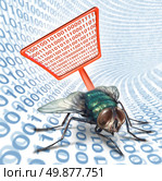 Computer bug security service as a high technology concept for digital data protection with a red fly swatter killing a bug on a binary code background as scanning for viruses on electronic devices. Стоковое фото, агентство Ingram Publishing / Фотобанк Лори
