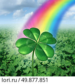 Luck concept with a four leaf clover over a field of green clovers with a rainbow from the sky shinning down as a symbol of good fortune and prosperity as a metaphore for success and opportunity. Стоковое фото, агентство Ingram Publishing / Фотобанк Лори