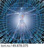 Medical Records Technology with a vitruvian man over a background of digital binary code as a health care symbol of electronic data storage at a central server network available in the cloud for a hospital or clinic patient convenience. Стоковое фото, агентство Ingram Publishing / Фотобанк Лори