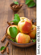 apples. Стоковое фото, агентство Ingram Publishing / Фотобанк Лори
