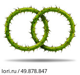 Bad partnership and difficult marriage with two chain links made of a plant with thorns and needles as a social and business relationship metaphor for team challenges and network conflict problems on a white background. Стоковое фото, агентство Ingram Publishing / Фотобанк Лори