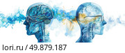 Drawing showing two human heads with different brain areas highlighted, illustrating the contrast between left and right hemispheres. Стоковое AI-изображение, AI-художник Данила Большаков / Фотобанк Лори