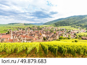 Riquewihr in the heart of the Alsatian vineyard Alsace France. Стоковое фото, агентство Ingram Publishing / Фотобанк Лори