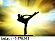 Kung fu at the edge. Element of design. Стоковое фото, агентство Ingram Publishing / Фотобанк Лори