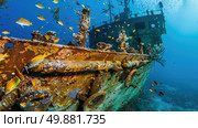 A diver investigates the corroding remains of a shipwreck, surrounded by colorful fish and coral growths. Стоковое AI-изображение, AI-художник Данила Большаков / Фотобанк Лори