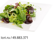 Salad mix with rucola, frisee, radicchio and lamb’s lettuce. Isolated on white background. Стоковое фото, агентство Ingram Publishing / Фотобанк Лори