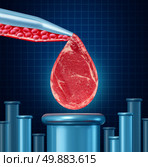 Lab grown meat concept as laboratory equipment developing artifical beef by cultivating animal tissue in vtro resulting in cruelty free synthetic protien that is edible as a symbol of future food engineering technology. Стоковое фото, агентство Ingram Publishing / Фотобанк Лори