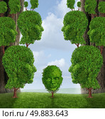 Community assistance and public support concept as a group of adult human head shaped trees giving help to a young child plant as a nurturing metaphor for government social services in education and friendship. Стоковое фото, агентство Ingram Publishing / Фотобанк Лори