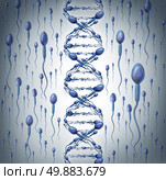 Male DNA symbol as human sperm cells shaped as a double helix fertility in men concept with a close up of microscopic spermatozoa cells swimming towards an elusive female egg as a medical reproduction icon of genetic information transfer. Стоковое фото, агентство Ingram Publishing / Фотобанк Лори