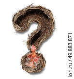 Family and parenting questions and home planning obligations as a group of baby birds in a nest shaped as a question mark as a metaphor and symbol for the responsibilities of fatherhood and motherhood on a white background. Стоковое фото, агентство Ingram Publishing / Фотобанк Лори