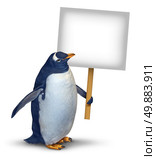 Penguin holding a blank card sign as a cute polar bird with a smiling happy expression supporting and communicating a message pertaining to animal welfare and wildlife on an isolated white background. Стоковое фото, агентство Ingram Publishing / Фотобанк Лори