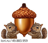 Squirrels holding an acorn as friendly teamwork of cute furry rodent characters gripping a giant nut signage for advertising and marketing as a message from animal wildlife or as a symbol of savings and financial investment of assets. Стоковое фото, агентство Ingram Publishing / Фотобанк Лори