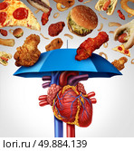 Heart protection medical concept as a symbol to avoid a clogged artery and atherosclerosis disease  as a blue umbrella protecting the cardiovascular organ from unhealthy food to stop plaque buildup. Стоковое фото, агентство Ingram Publishing / Фотобанк Лори
