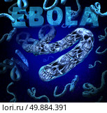 Ebola outbreak danger as a deadly virus disease medical concept with death skull symbols representing dangerous microbe causing symptoms as hemorrhagic fever as a human health crisis from an infection from a deadly microorganism. Стоковое фото, агентство Ingram Publishing / Фотобанк Лори