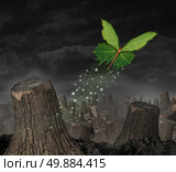 Ecology concept and new beginning symbol as a group of green leaves shaped as a butterfly flying up away from a dead forest of chopped trees as an icon for success and persistence to survive and prosper in the future. Стоковое фото, агентство Ingram Publishing / Фотобанк Лори