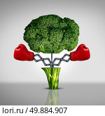 Superfood protection health care concept and cancer disease fighting food symbol as a healthy natural nutrition icon with red boxing gloves emerging out of an open broccoli vegetable as a fitness diet metaphor. Стоковое фото, агентство Ingram Publishing / Фотобанк Лори