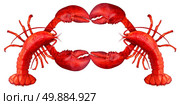 Lobster blank sign with claws creating a frame with copy space as a fresh fish or seafood message and shellfish food concept with a red shell crustacean isolated on a white background. Стоковое фото, агентство Ingram Publishing / Фотобанк Лори