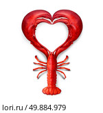 Seafood Love concept as a boiled lobster shaped as a heart symbol as a metaphor for fresh sea food from the ocean or promoting a fish dinner or marketing a restaurant menu. Стоковое фото, агентство Ingram Publishing / Фотобанк Лори