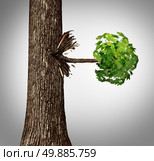 Offshoot concept as a lateral move business metaphor as a tree trunk with a sideways branch and leaves bursting out horizontaly as an icon for branching out or a spin off idea. Стоковое фото, агентство Ingram Publishing / Фотобанк Лори