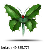 Magical holiday or Christmas celebration decoration element as a winter flying butterfly made of holly leaves evergreen pine needles and red berries as a festive freedom symbol of seasonal hope and joy on a white background. Стоковое фото, агентство Ingram Publishing / Фотобанк Лори