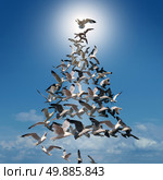Holiday tree of hope spiritual concept as a group of birds flying in coordinated style shaped as a Christmas tree with the top bird behind a glowing sun as a festive metaphor for winter celebration or fun greeting card. Стоковое фото, агентство Ingram Publishing / Фотобанк Лори