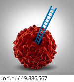 Cancer research symbol as a cancerous malignant cell with a ladder going in as a metaphor for a close microscopic medical examination and finding a cure icon. Стоковое фото, агентство Ingram Publishing / Фотобанк Лори