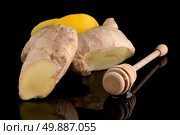 Ginger root drizzler with honey and lemon on black reflective background. Concept of natural ingredients to prevent colds. Стоковое фото, агентство Ingram Publishing / Фотобанк Лори