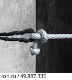 Racial unity concept as a symbol against racism in society as a white and black rope tied together as a metaphor for friendship and respect. Стоковое фото, агентство Ingram Publishing / Фотобанк Лори
