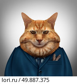 Business fat cat character as a feline tycoon businessman character as a symbol for a wealthy boss or a greedy and selfish magnate owner. Стоковое фото, агентство Ingram Publishing / Фотобанк Лори