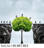 Business growth opportunity concept as a group of business people taking advantage of a tall tree grown in time to create a bridge to cross over and link two seperate cliffs as a motivation metaphor for financial patience and opportunism. Стоковое фото, агентство Ingram Publishing / Фотобанк Лори