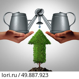 Business team funding as a crowd fund concept to invest and nurture growth opportunities together with a partnership of other investors to realize a project as diverse hands holding water pots tied together to hydrate an arrow tree. Стоковое фото, агентство Ingram Publishing / Фотобанк Лори