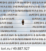 Avoiding risk as a business avoidance concept with a group of birds on a wire staying away from a threatening eagle as a dangerous bird of prey as a metaphor for being vulnerable to impending threats. Стоковое фото, агентство Ingram Publishing / Фотобанк Лори